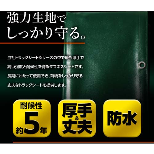 萩原 ターピー エステル帆布トラックシート 1号 軽トラック グリーン 1.9m×2.1m H1