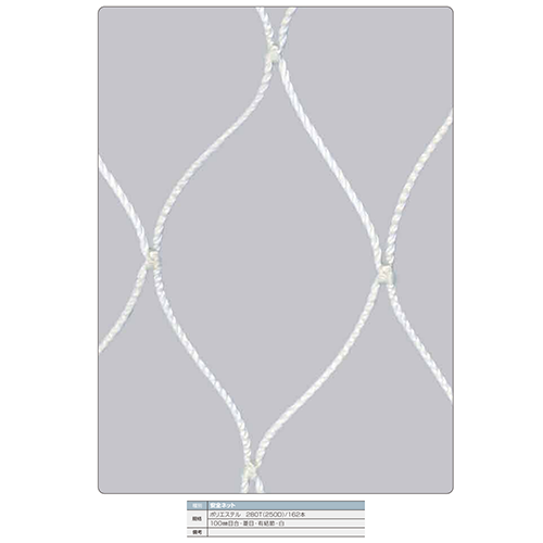 モリリン エステル安全ネット3.2φ 10cm目 10×10m 2枚入 NAW4611