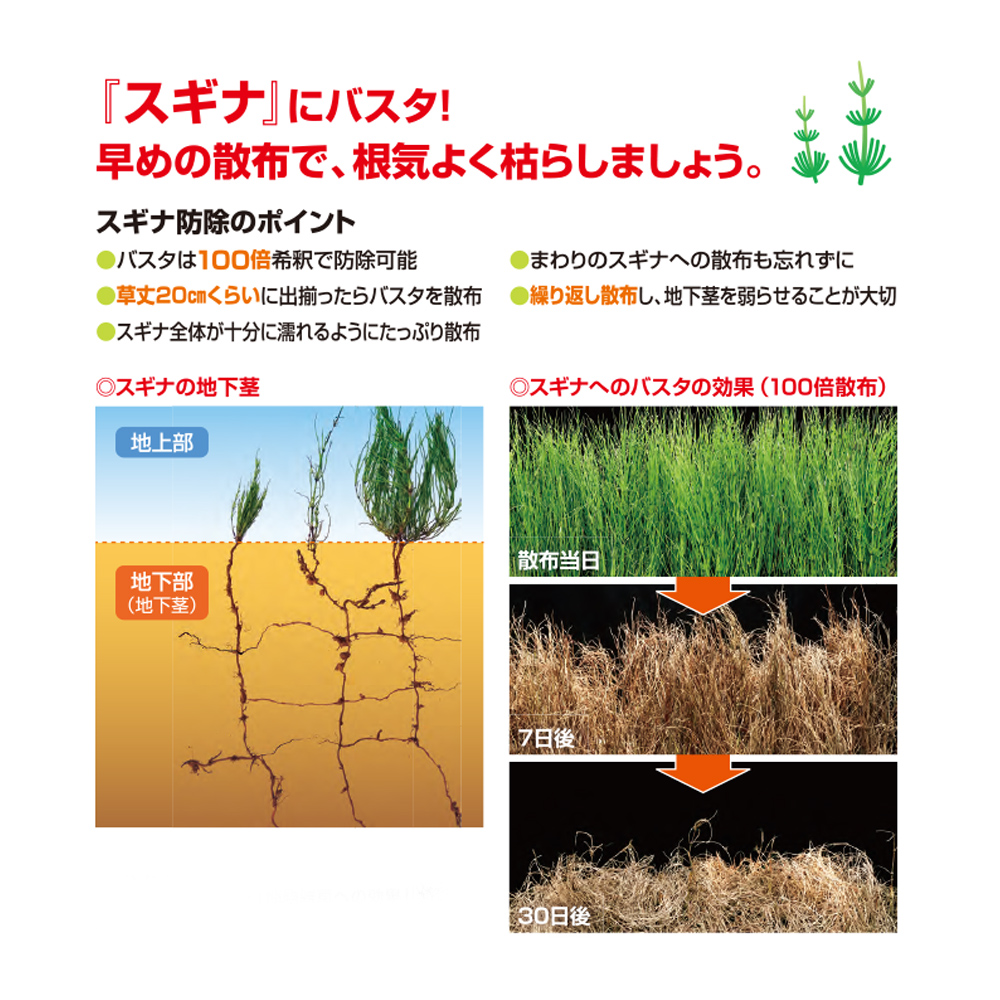 BASFジャパン 茎葉処理除草剤 バスタ液剤 5L