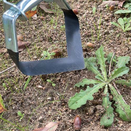 千吉 アルミ柄押し草削り 1400mm