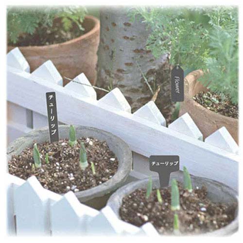 セフティ-3 ガーデン黒ラベルY型10枚入 大