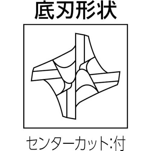 MOLDINO エポックSUSマルチEPSM4100-50-PN EPSM4100-50-PN