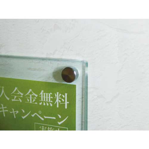 TRUSCO 装飾平小ねじ 縦目ローレット M4 Φ10 L10 1個入 DS-AB150