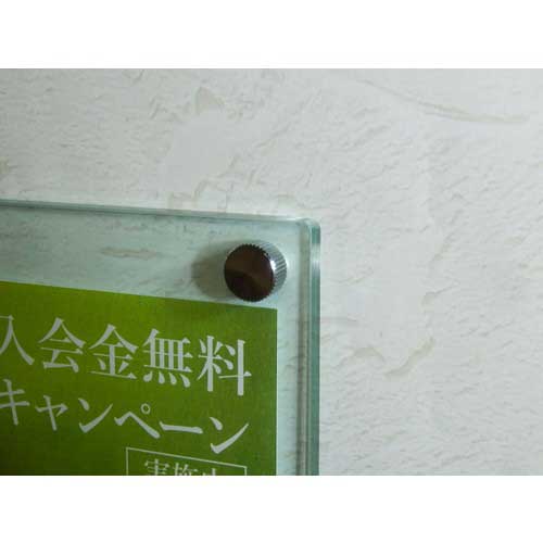 TRUSCO 装飾平小ねじ 縦目ローレット M6 Φ10 L10 1個入 DS-AB215