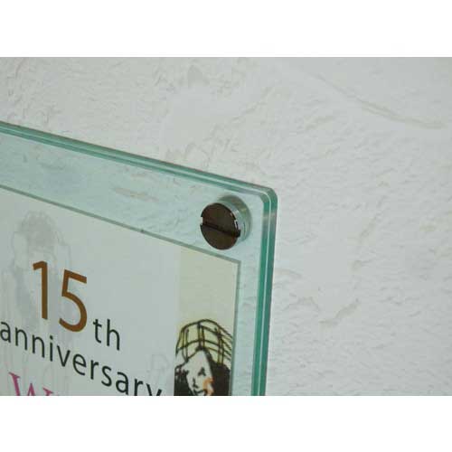 TRUSCO 装飾平小ねじ 低頭すり割りコイン M6 Φ12 L20 1個入 DS-AB251