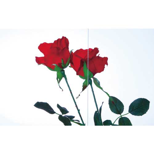 アクリサンデー アクリ表面硬化板透明550x650x5mm MR2-001-M-5