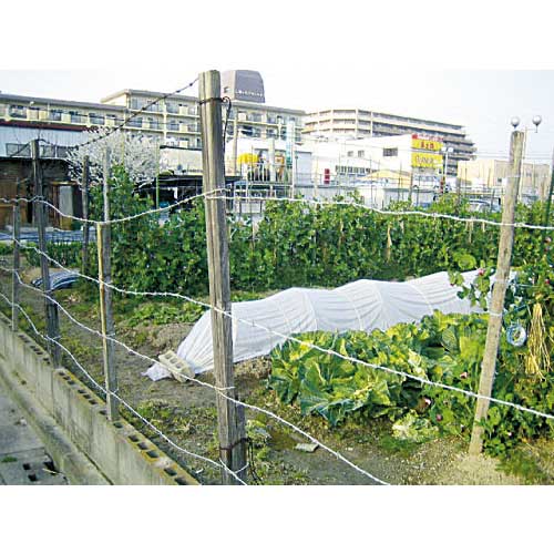 TRUSCO 有刺鉄線 溶融亜鉛メッキ 1.6mm×20m TUW-16-20