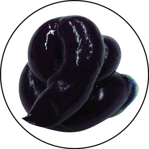 TRUSCO ブリューペーストH 100g TBP-H