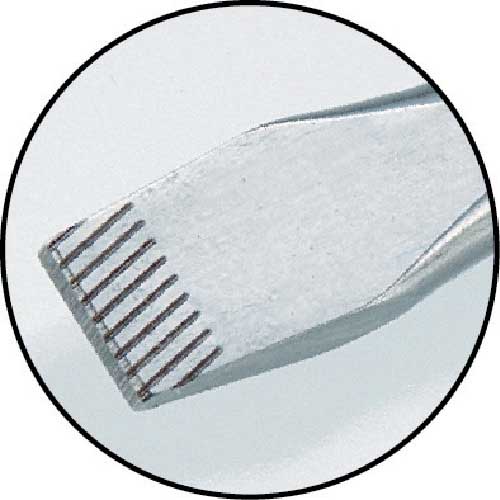 Wera ステンレス プラスドライバー1×80 032021