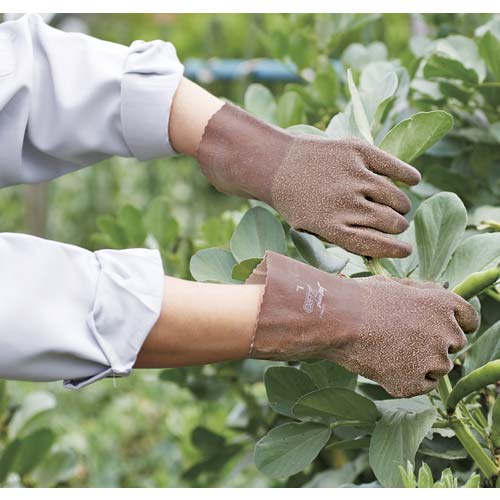 トワロン まとめ買い 天然ゴム手袋 ジョイハンドZERO LL (3双入) 187-LL