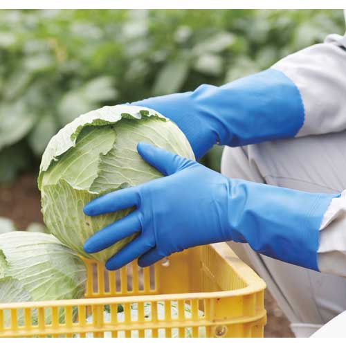 ビニスター 塩化ビニール手袋 ビニスターマリン中あつ手 M 777-M