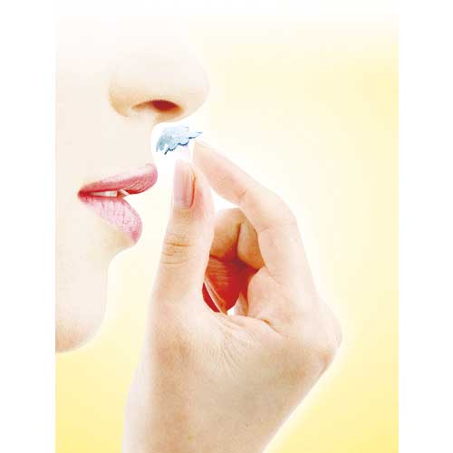 ユタカメイク マスクシェル鼻挿入型 レギュラーサイズ3個入 MSN-R