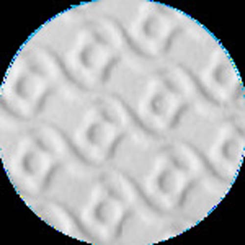 SHOWA 塩化ビニール手袋 No130ビニトップ薄手 ホワイト Lサイズ NO130-L