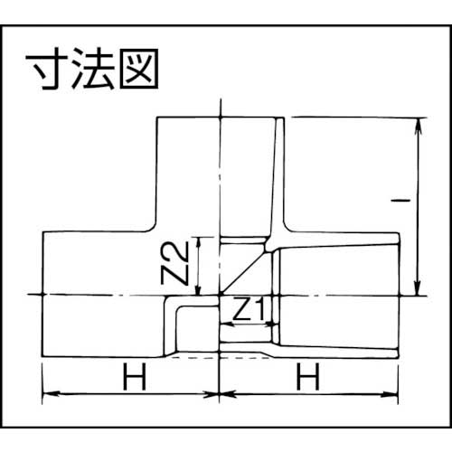 クボタケミックス 透明TS チーズ TS-T13 C-TST13