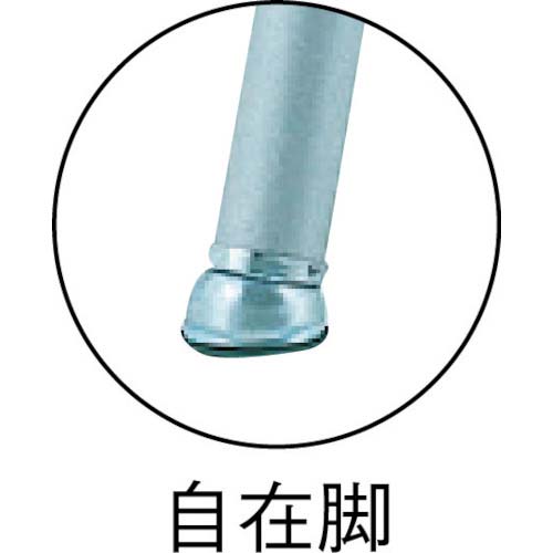 PiCa 伸縮はしごスーパーラダーSL型 6.1m SL-600J