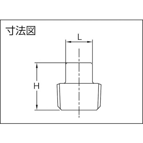 TRUSCO ねじ込み管継手 SUS 四角プラグ 20A TP-20A