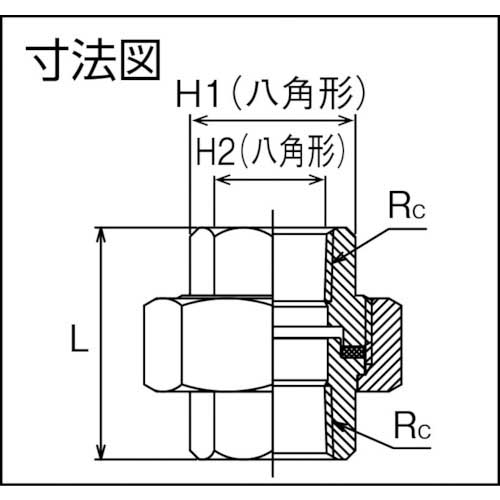 FLOBAL ねじ込み管継手 ユニオン(ステンレス14A) 04115805 呼び径(A)20/呼び径(B)3/4 VU-S14-06