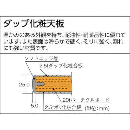 TRUSCO 軽荷重作業台高さ調節式(250kg)AWM型 900X600XH700～910 基本 