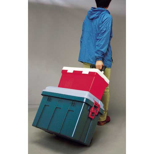 アイリスオーヤマ 538497 RVキャリー 650 グレー/ダークグリーン RV650C