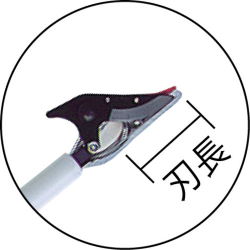 ARS 超軽量伸縮式高枝鋏ライトチョキズーム 150Z-3.0-5D