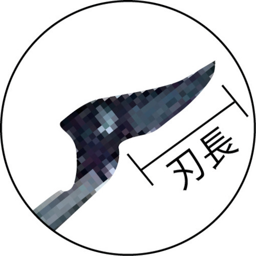 ARS 伸縮式高枝鋏 ズームチョキチルトR剪定タイプロング3.0 180ZTR-3.0-5D