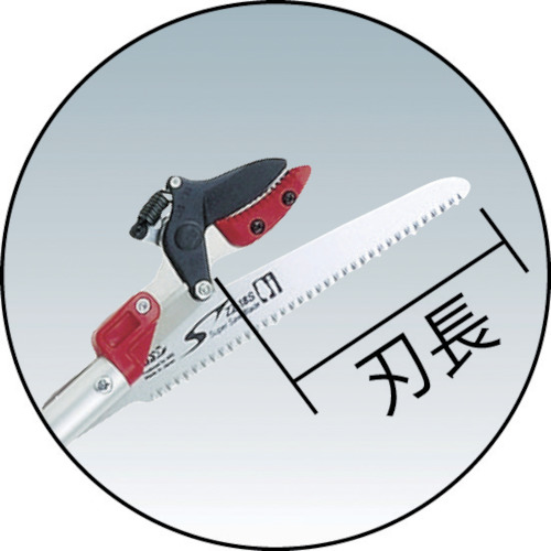 ARS 伸縮高枝鋏ズームチョキKタイプアンビルつかみ付き 184ZKA-3.0-5D