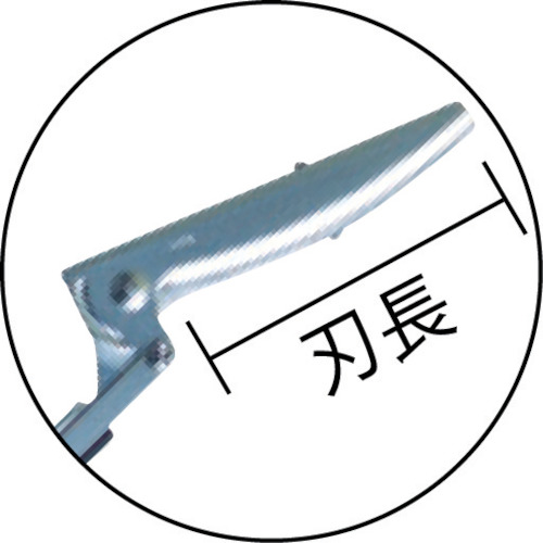 ARS 伸縮式高枝鋏ズームチョキチルトR刈込タイプロング3.1 190ZTR-3.1-5D