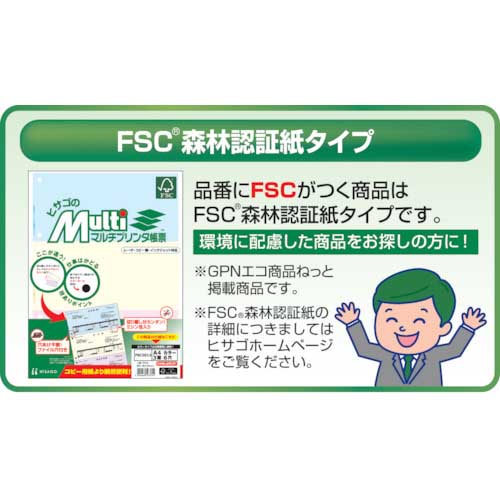 HISAGO プリンタ帳票A4カラー3面6穴 FSC2013Z