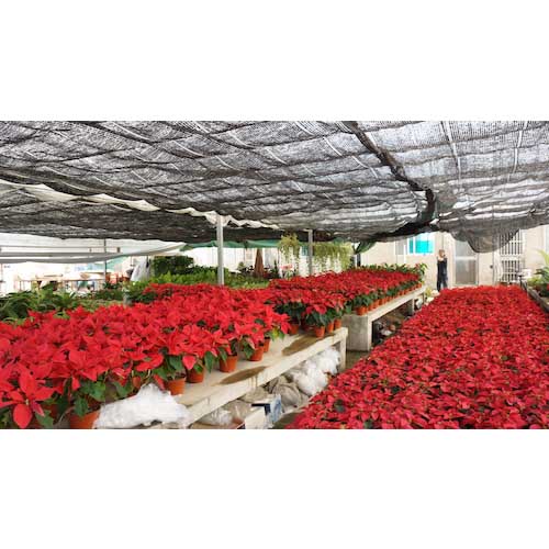 TRUSCO 遮光ネットロール遮光率65% 2x20M TSN80-220