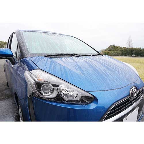 【廃番】SOFT99 レインドロップ 00526