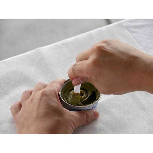 SOFT99 カーボン繊維配合パテ 80g 09229