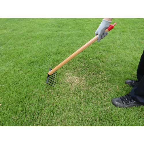 GS 芝生のサッチ取り(小) 4010