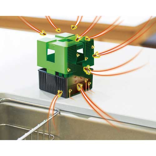 フマキラー コバエ超激取れキューブ 1個入 445039