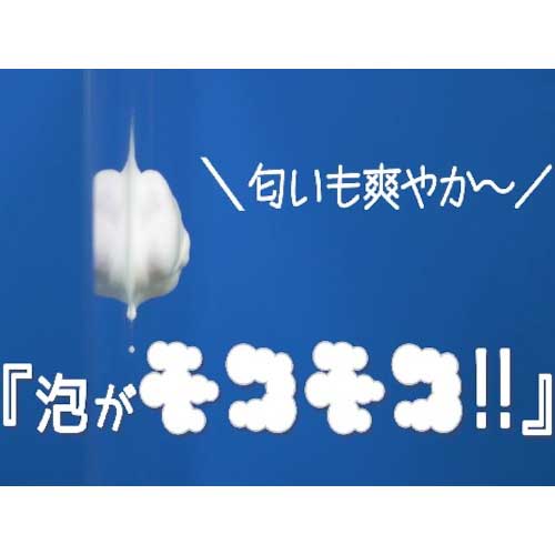 CXS 多目的クリーナー スーパーフォームEX480ml 6039547