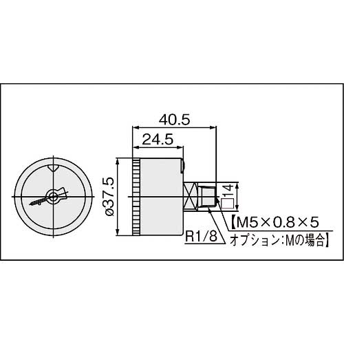 SMC 圧力計 海外向け販売 G36-P4-N01-X30