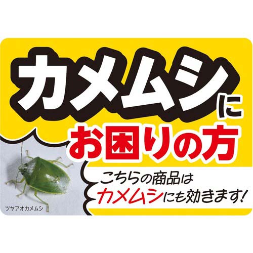 アース 殺虫剤 業務用虫ブロック クモの巣 窓・ガラス 034915