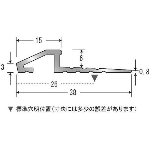 ASSIST 床金物ディバイドエッジ 穴あり ブラック 定尺2M 20-410BL22