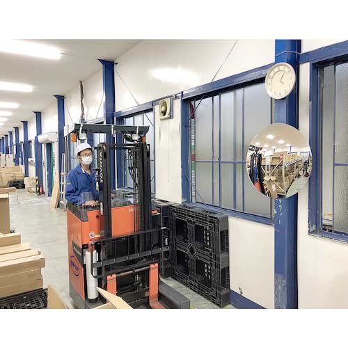 CAR-BOY どこでもミラー 大 DM-01