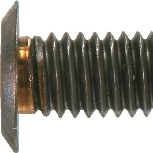 TRUSCO ヘックスローブ超極低頭ねじ ステンレス ブロンズ M6×40 10本入 B186-0640