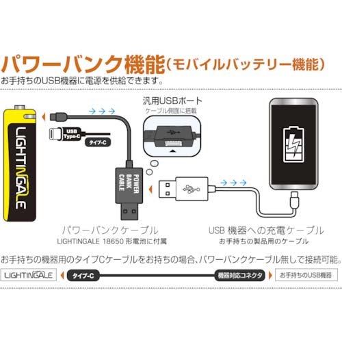 ライティンゲイル LEDミニランタンBonfire+3400mAh充電池 LTG1004-34