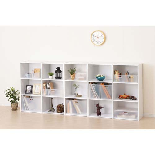 SANKA ナチュラ インボックス L クリア NIB-LCL