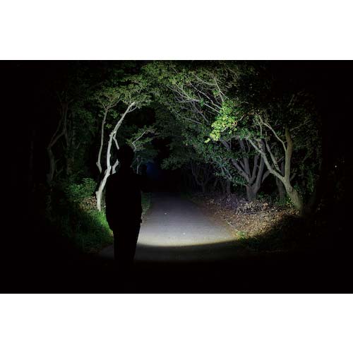 GENTOS 充電式LEDハンディライト レクシード486PB RX-486PB