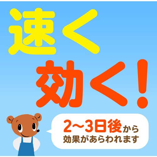 アース 除草剤 おうちの草コロリ 粒タイプ3kg 063212