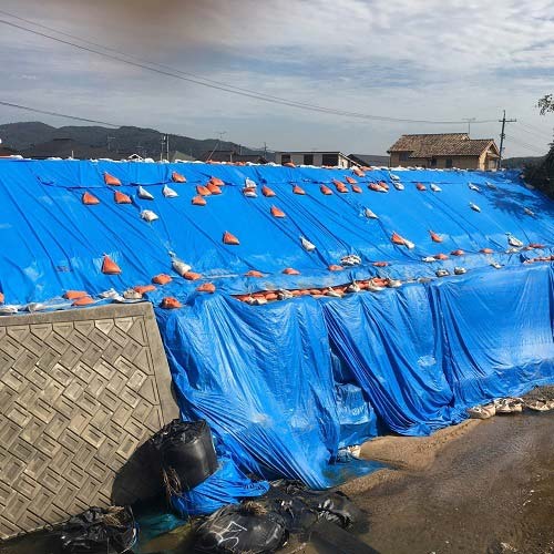 【廃番】萩原 ターピー エコファミリーシート(ブルーシート) #3000 4.5m×5.4m ECFM4554