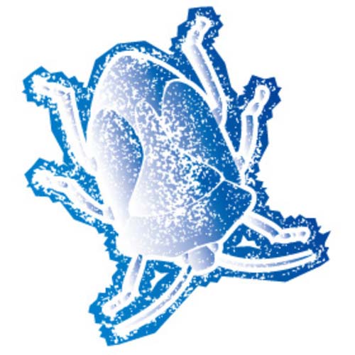 フマキラー 凍殺ジェット300ml2本パック 448665