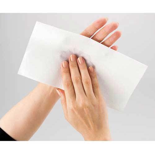 SV 160351)ペーパータオルM 200枚 N241J-M