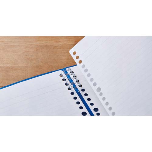 KING JIM リングノ-ト テフレ-ヌ A4 黒 9856TTE-BK