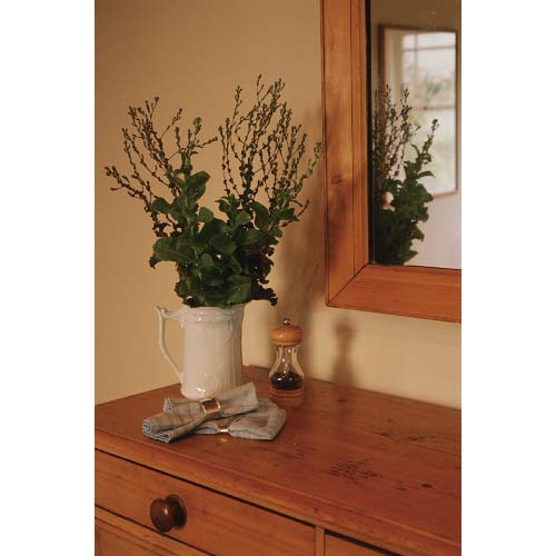 アサヒペン 水性ウレタンニス 0.7L つや消しクリヤ 447562