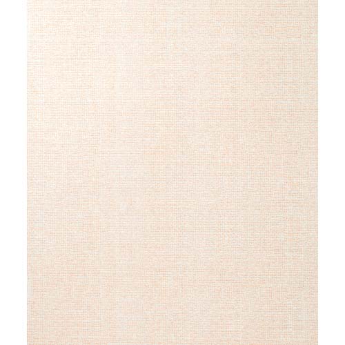 アサヒペン 裏紙のないそのまま貼れるカベ紙 46CMX5M SH-101 4970925121400