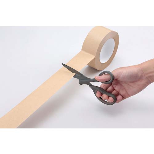 レイメイ ハサミ スウィングカット(フッ素コート) SH900